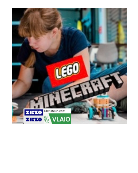 Minecraft-Robots